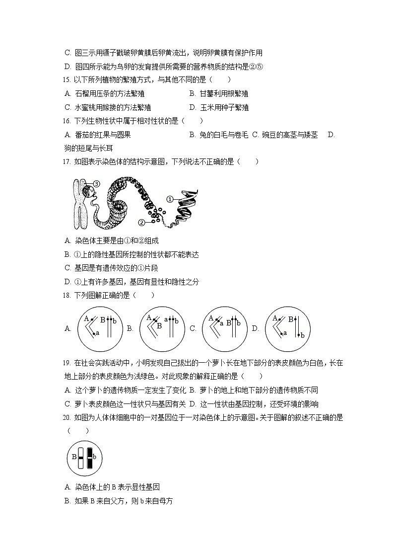 2021-2022学年福建省泉州市科技中学等八校八年级（上）期末生物试卷（含答案解析）03