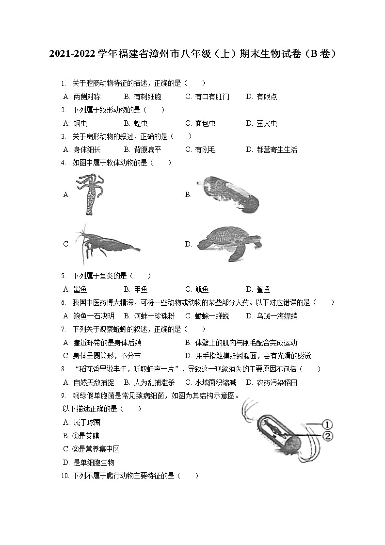 2021-2022学年福建省漳州市八年级（上）期末生物试卷（B卷）（含答案解析）01