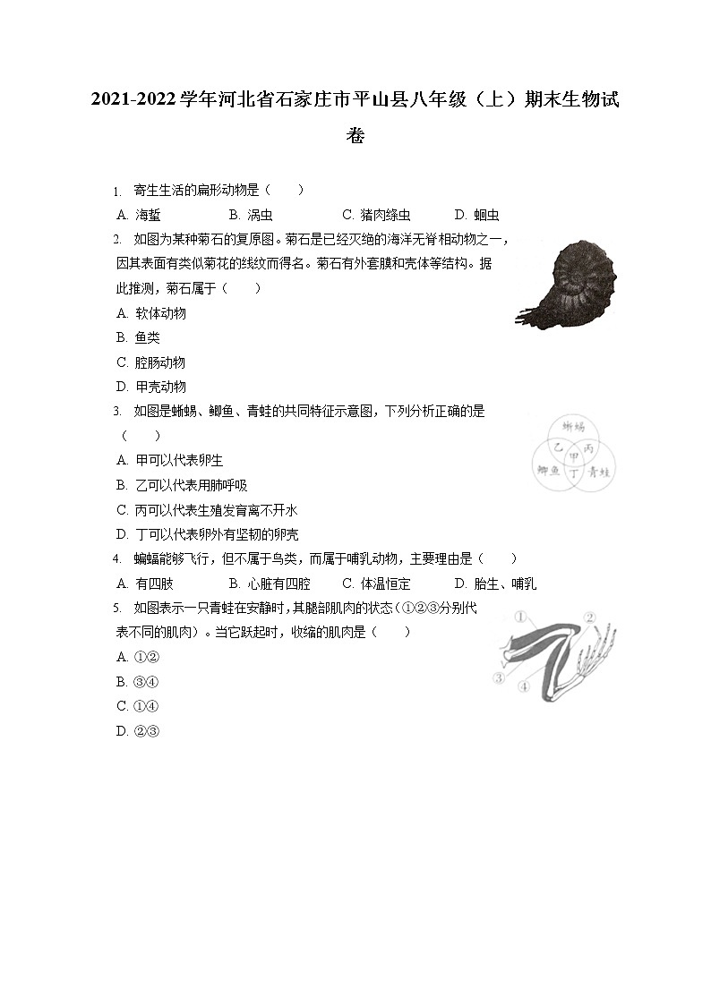 2021-2022学年河北省石家庄市平山县八年级（上）期末生物试卷（含答案解析）01