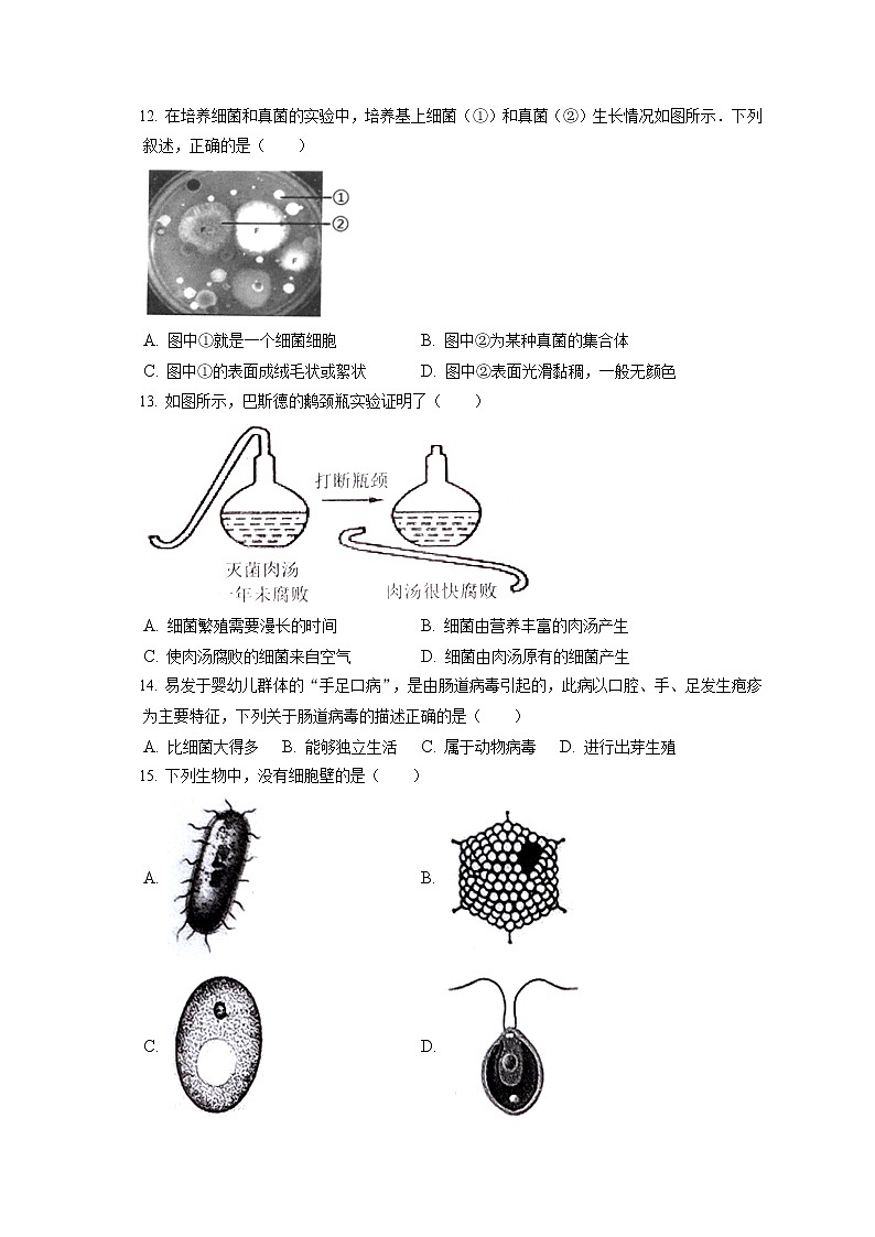 2021-2022学年吉林省长春市朝阳区八年级（上）期末生物试卷（含答案解析）02