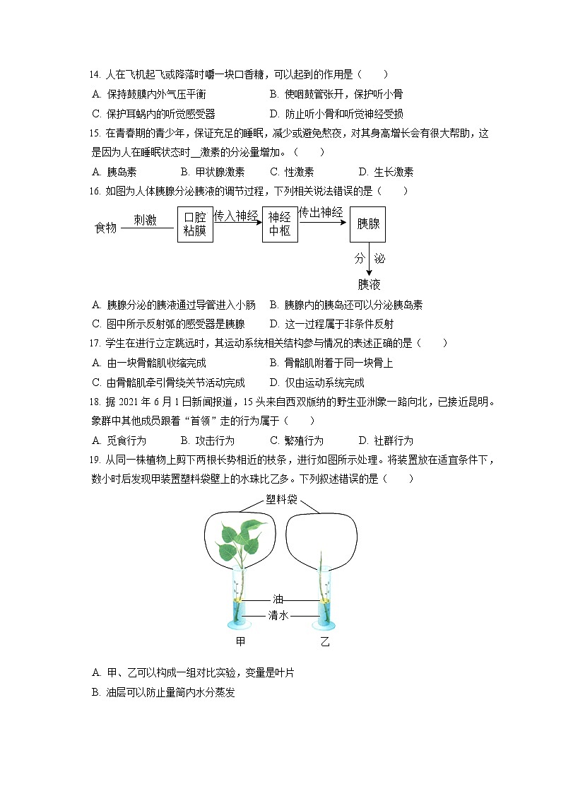 2021-2022学年江苏省徐州市八年级（上）期末生物试卷（含答案解析）第3页