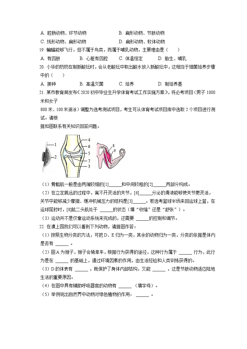 2021-2022学年江西省赣州市大余县八年级（上）期末生物试卷（含答案解析）03