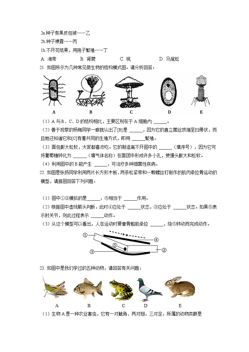 2021-2022学年江西省赣州市石城县八年级（上）期末生物试卷（含答案解析）第3页