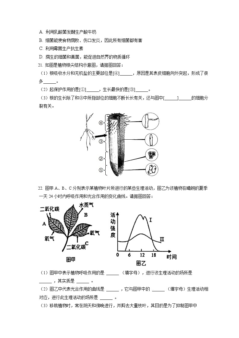 2021-2022学年江西省吉安市峡江县八年级（上）期末生物试卷（含答案解析）03