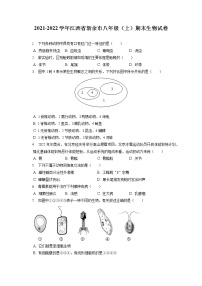 2021-2022学年江西省新余市八年级（上）期末生物试卷（含答案解析）