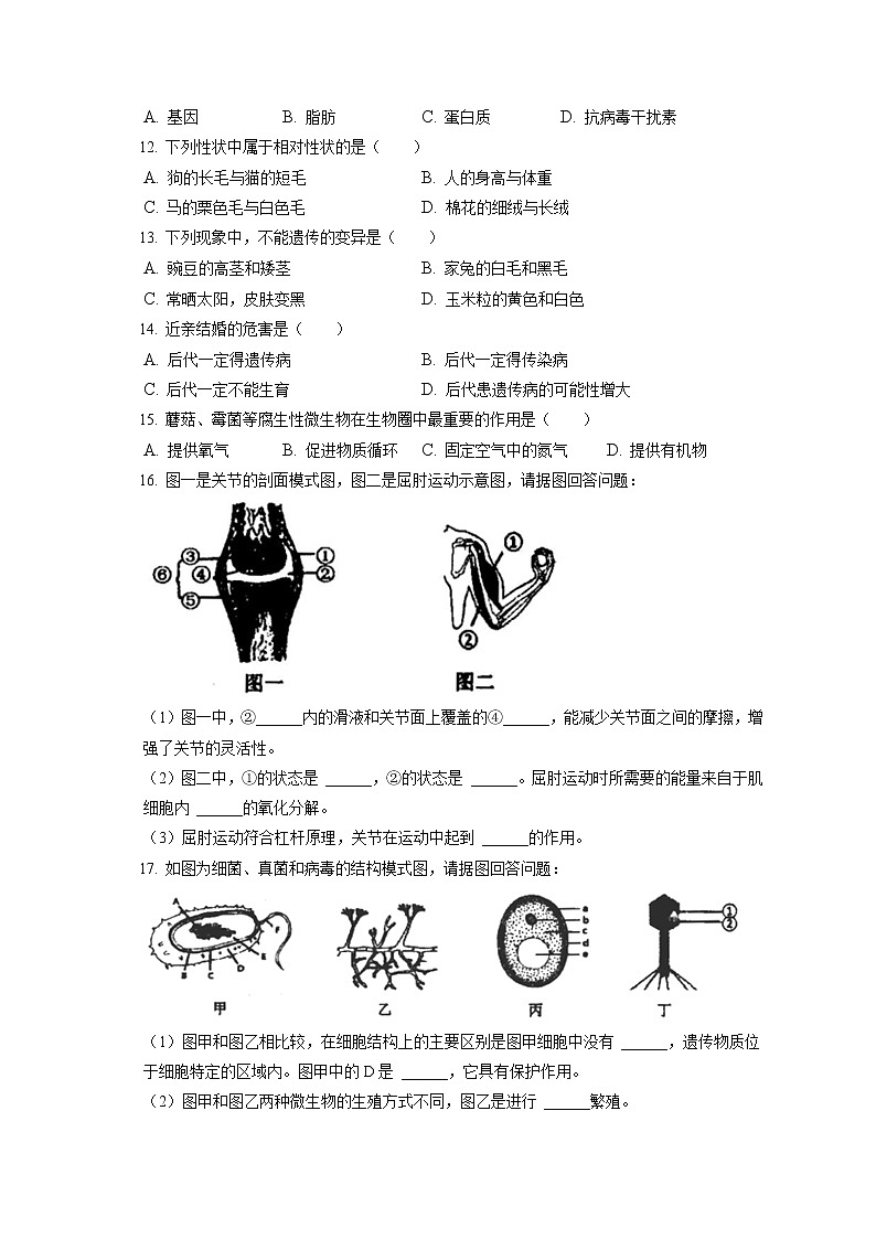 2021-2022学年辽宁省抚顺市望花区八年级（上）期末生物试卷（含答案解析）第2页