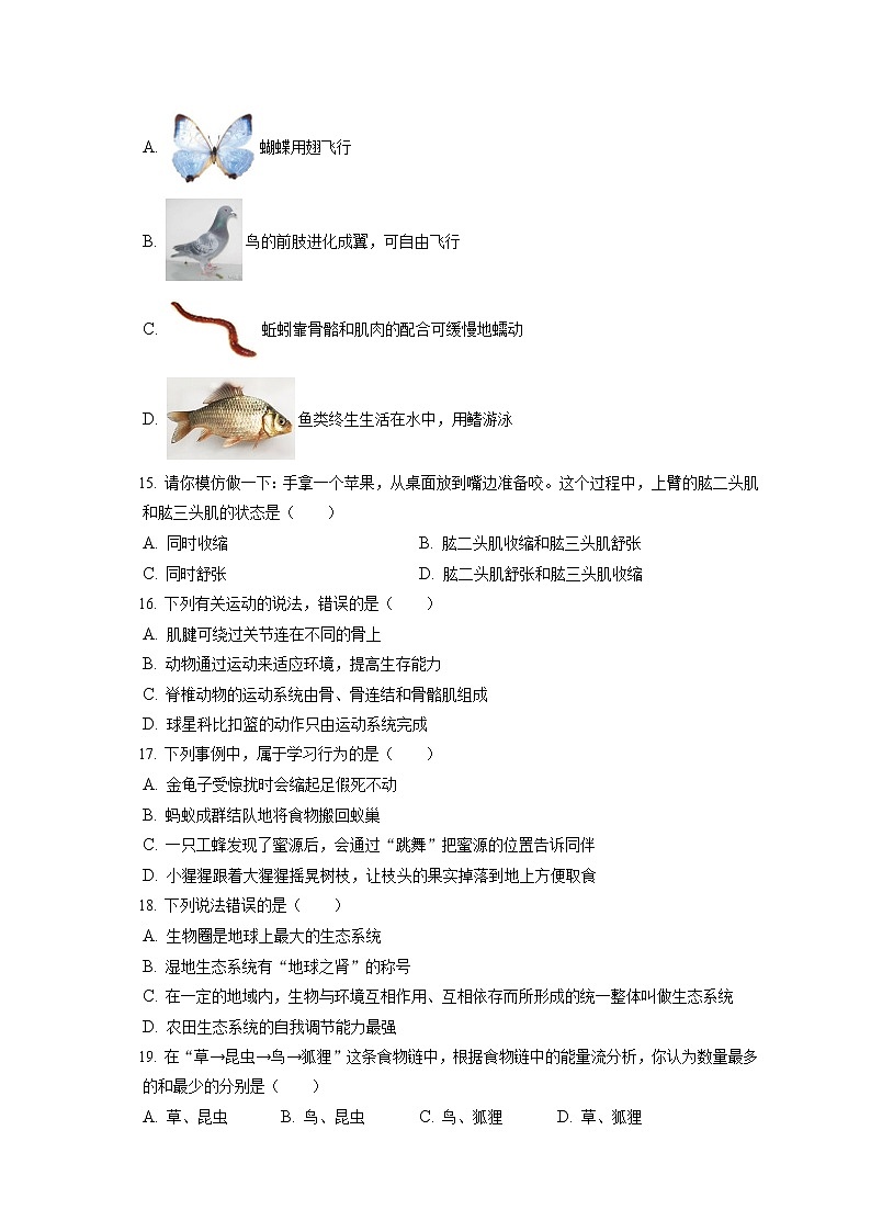 2021-2022学年辽宁省沈阳市法库县八年级（上）期末生物试卷（含答案解析）03