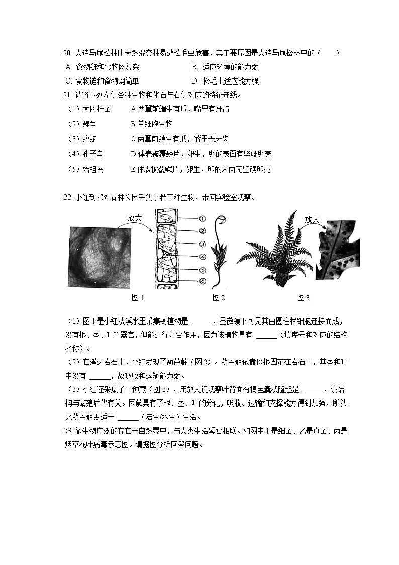 2021-2022学年辽宁省沈阳市新民市、沈河区八年级（上）期末生物试卷（含答案解析）03