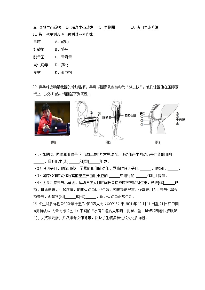 2021-2022学年辽宁省沈阳市于洪区八年级（上）期末生物试卷（含答案解析）第3页