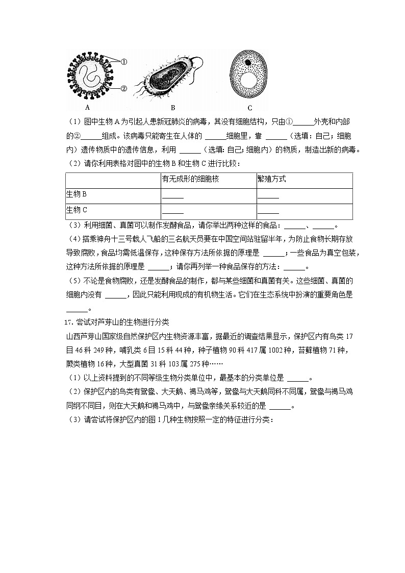 2021-2022学年山西省太原市八年级（上）期末生物试卷（含答案解析）03