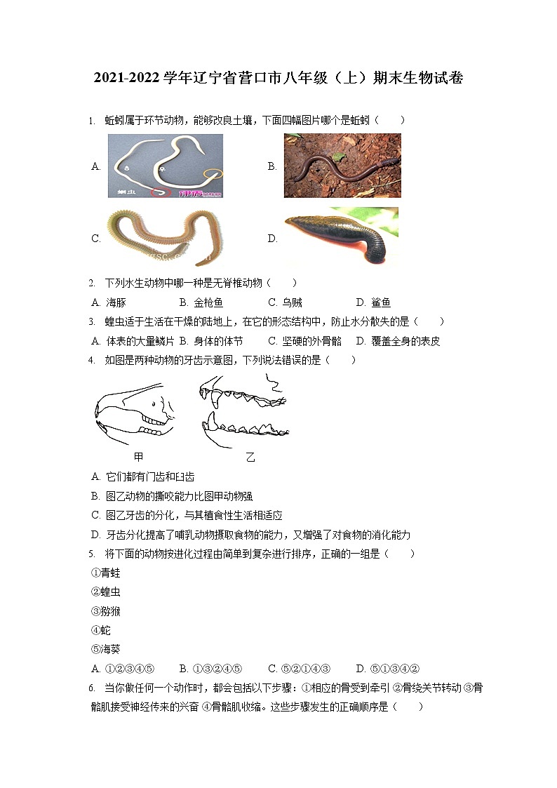 2021-2022学年辽宁省营口市八年级（上）期末生物试卷（含答案解析）01