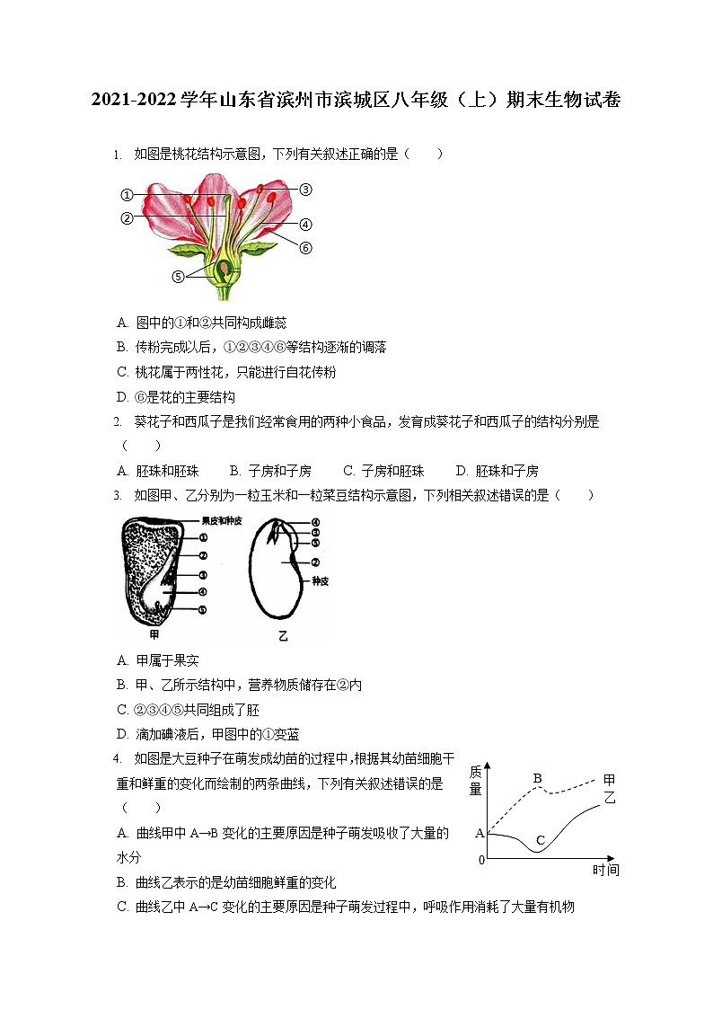 2021-2022学年山东省滨州市滨城区八年级（上）期末生物试卷（含答案解析）01