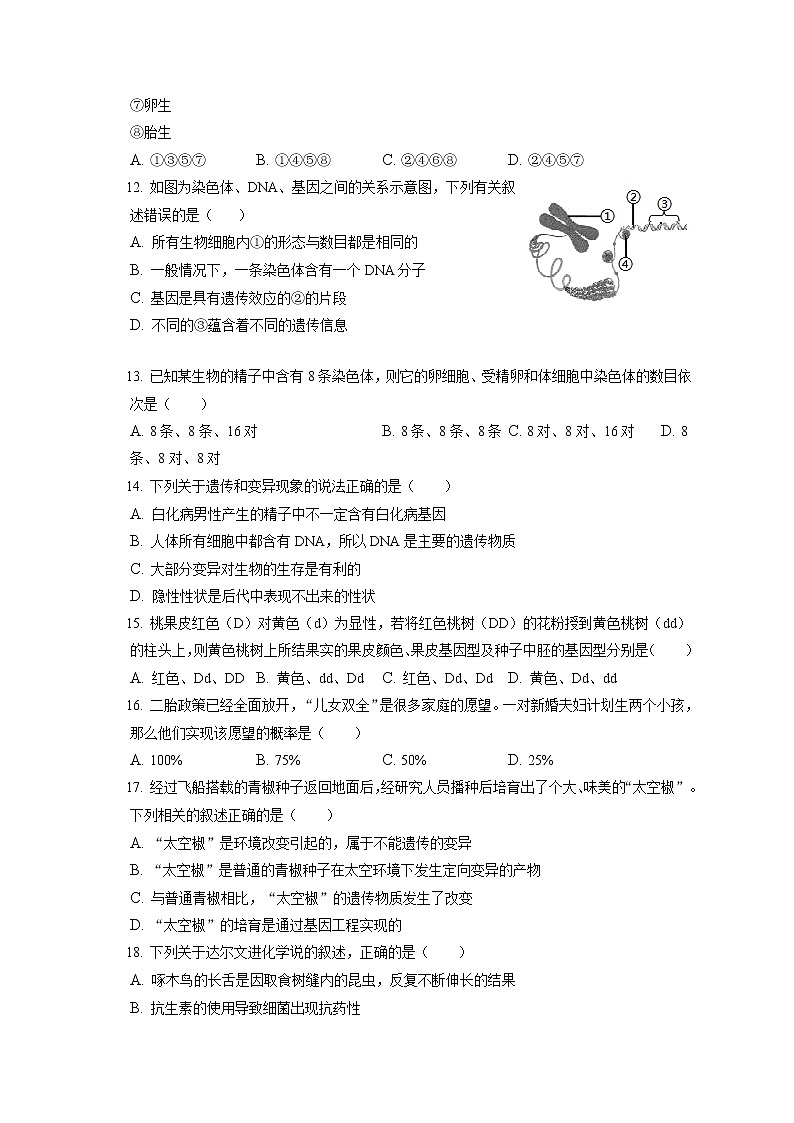 2021-2022学年山东省滨州市滨城区八年级（上）期末生物试卷（含答案解析）03