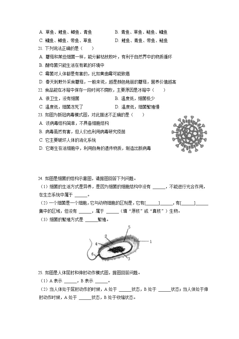 2021-2022学年天津市西青区八年级（上）期末生物试卷（含答案解析）03