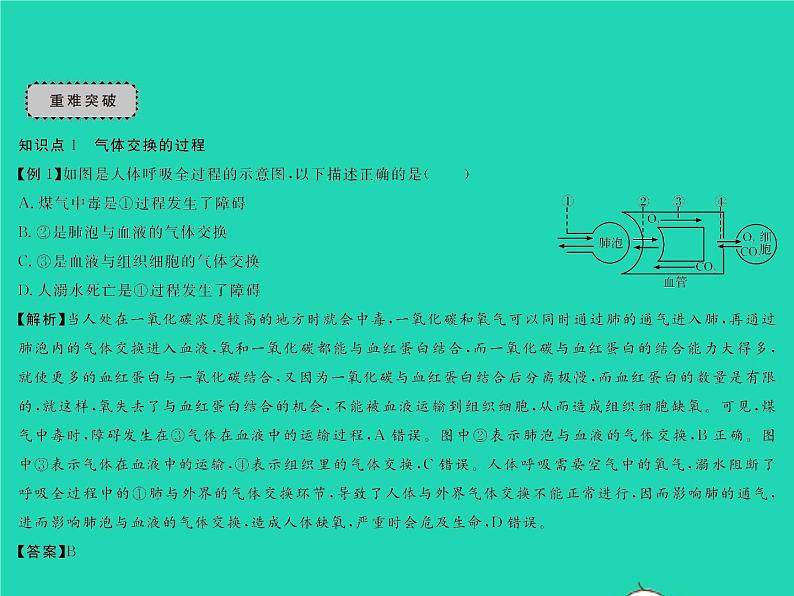 2022七年级生物下册第11章人体代谢废物的排出章末复习与小结习题课件新版北师大版第3页