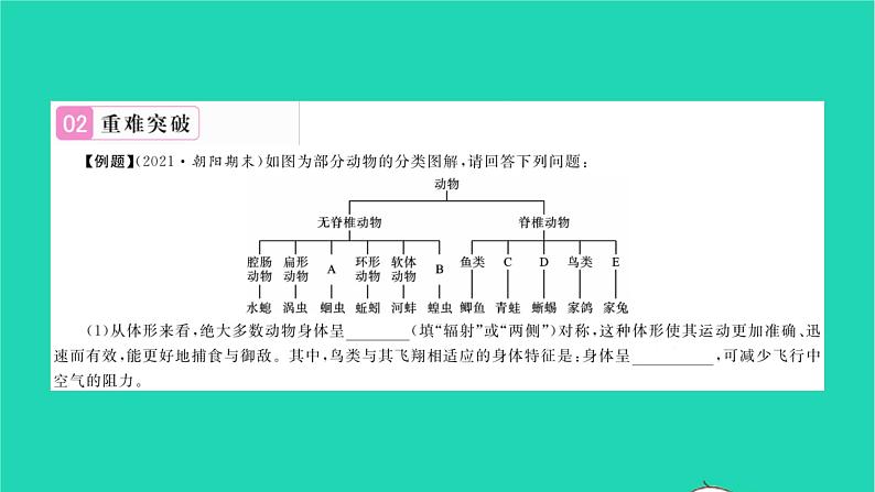 2022—2023学年度新版生物北师大版八年级下册第7单元生命的演化章末复习与小结二习题课件03