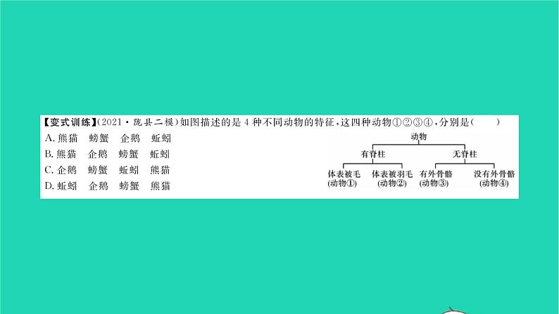 2022—2023学年度新版生物北师大版八年级下册第7单元生命的演化章末复习与小结二习题课件05