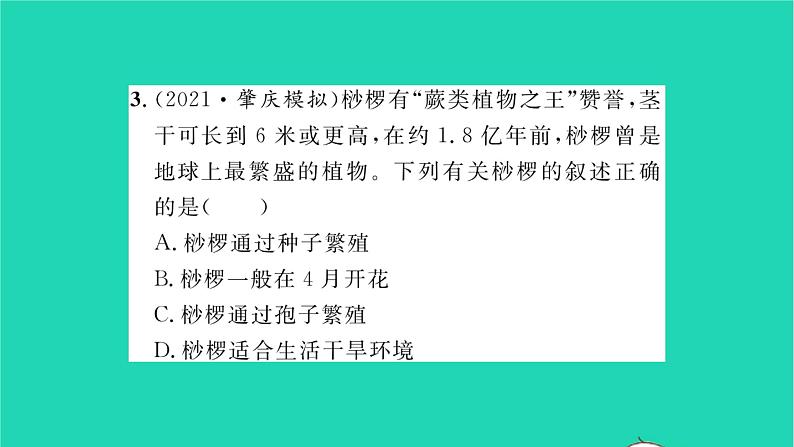 2022—2023学年度新版生物北师大版八年级下册第7单元生命的演化章末复习与小结二习题课件08