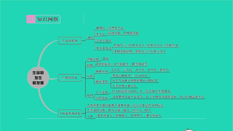 2022—2023学年度新版生物北师大版八年级下册第7单元生命的演化第21章生命的发生和发展章末复习与小结习题课件02