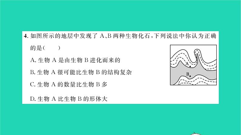 2022—2023学年度新版生物北师大版八年级下册第7单元生命的演化第21章生命的发生和发展综合检测习题课件05