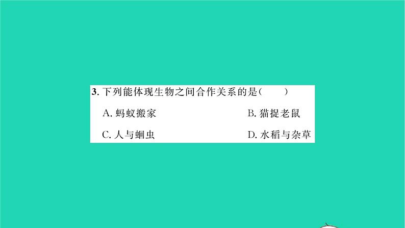 2022—2023学年度新版生物北师大版八年级下册第23、24章综合检测习题课件04