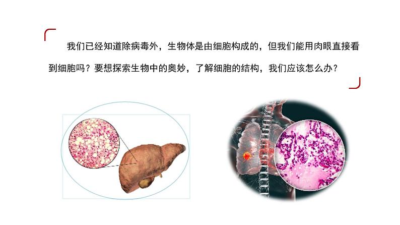 2.1.1 练习使用显微镜（理论）第1页