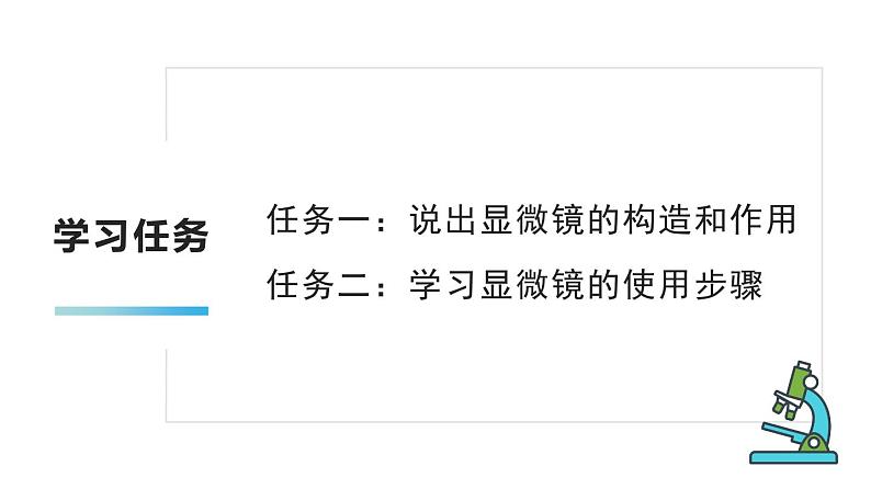 2.1.1 练习使用显微镜（理论）第3页