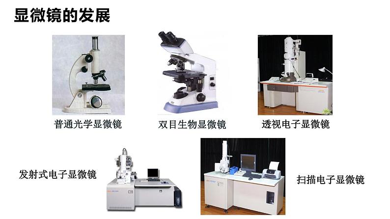 2.1.1 练习使用显微镜（理论）第5页
