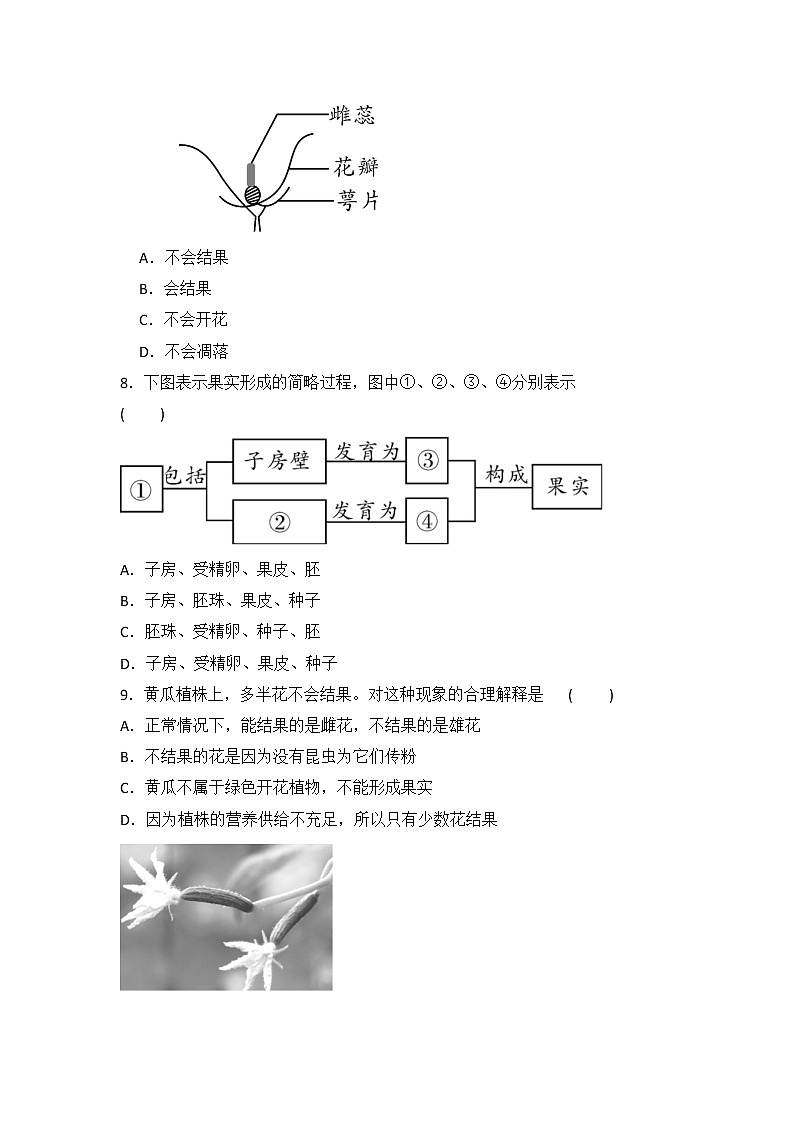 人教八生下 7.1 第一节 植物的生殖 PPT课件+教案+练习02