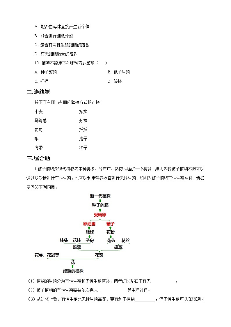 人教八生下 7.1 第一节 植物的生殖 PPT课件+教案+练习02
