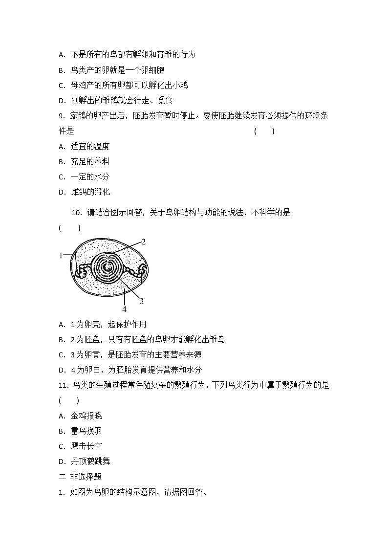 人教八生下 7.1 第四节 鸟的生殖和发育 PPT课件+教案+练习02