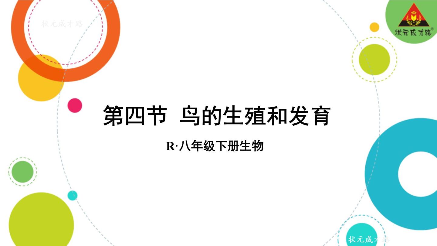 人教版 (新课标)八年级下册第四节 鸟的生殖和发育示范课ppt课件