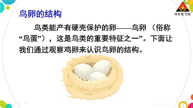 第四节 鸟的生殖和发育第6页