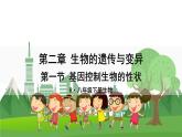 人教八生下 7.2 第一节 基因控制生物的性状 PPT课件+教案+练习