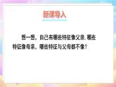 人教八生下 7.2 第一节 基因控制生物的性状 PPT课件+教案+练习