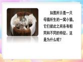人教八生下 7.2 第一节 基因控制生物的性状 PPT课件+教案+练习