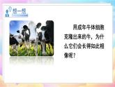 人教八生下 7.2 第一节 基因控制生物的性状 PPT课件+教案+练习