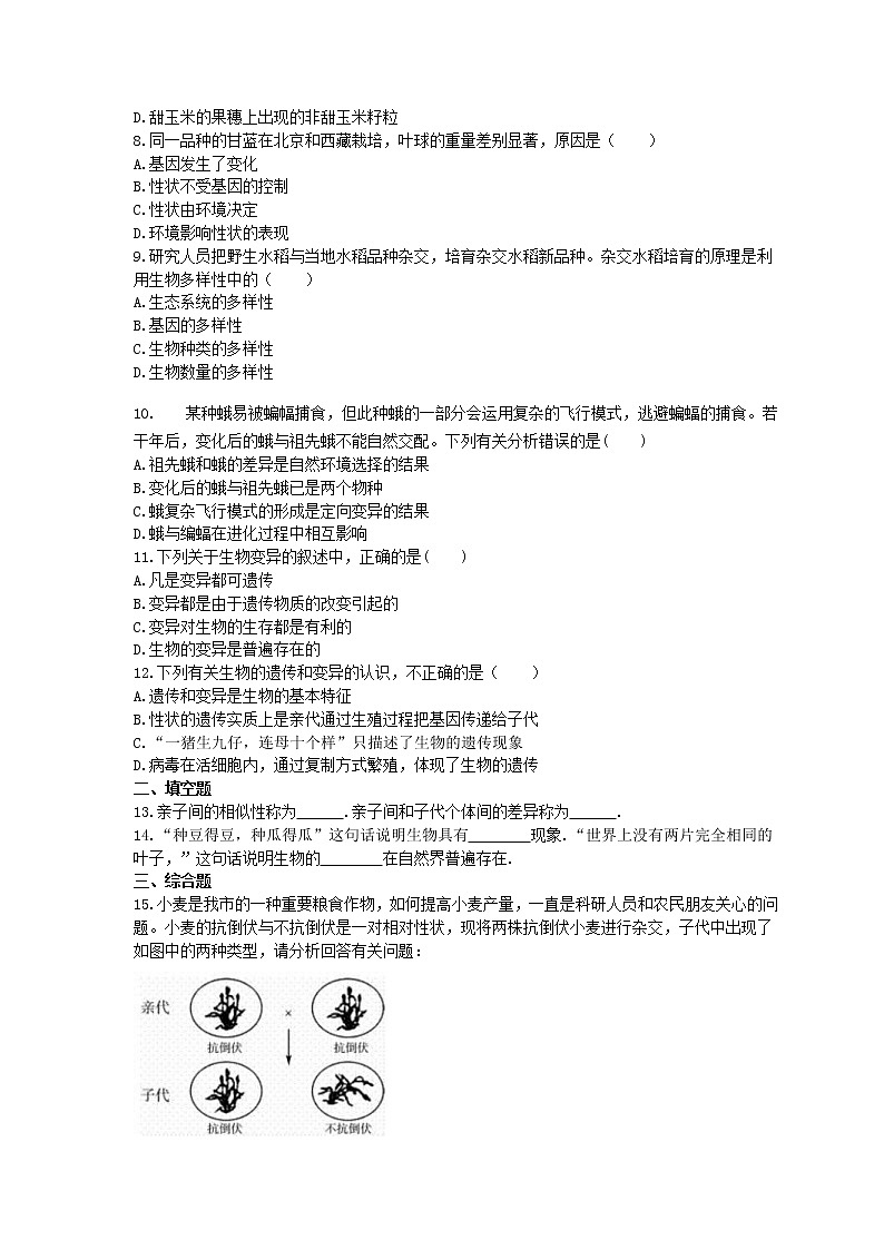 人教版生物八年级下册7.2.5《生物的变异》精选练习 (含答案)第2页