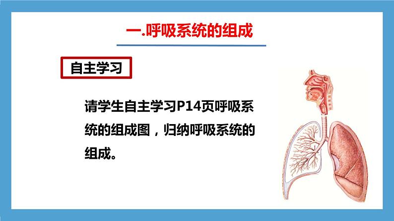 4.3.1《呼吸道对空气的处理》课件+教案+习题07