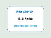 4.1.1 人类的起源和发展 -初中生物七年级下册 课件+练习（人教版新课标）
