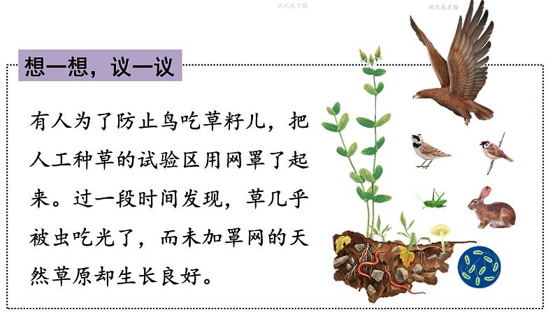 第二节  生物与环境组成生态系统 学案课件05