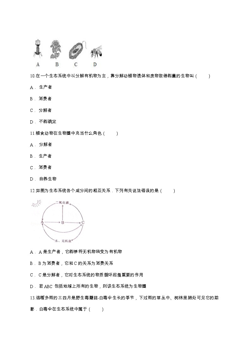 第二节  生物与环境组成生态系统 学案课件03