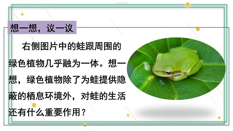 第四章 绿色植物是生物圈中有机物的制造者 试卷学案练习课件03