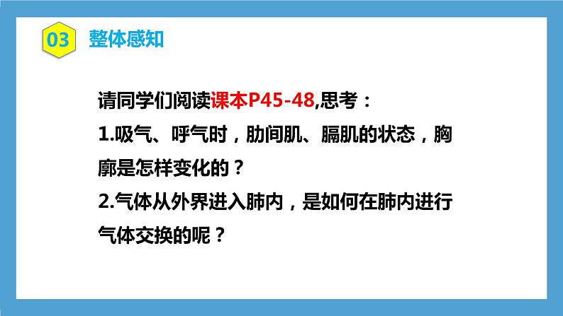 4.3.2《发生在肺内的气体交换》课件+教案+习题05