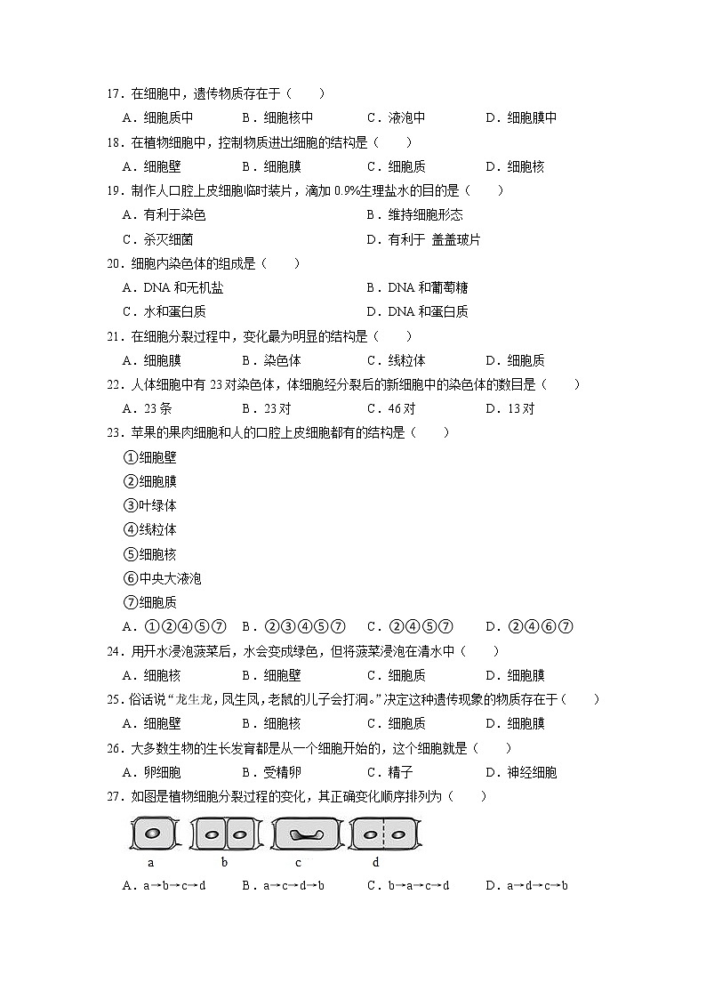 广东省肇庆市鼎湖区博艺实验学校2022-2023学年七年级上学期期中生物试卷第3页