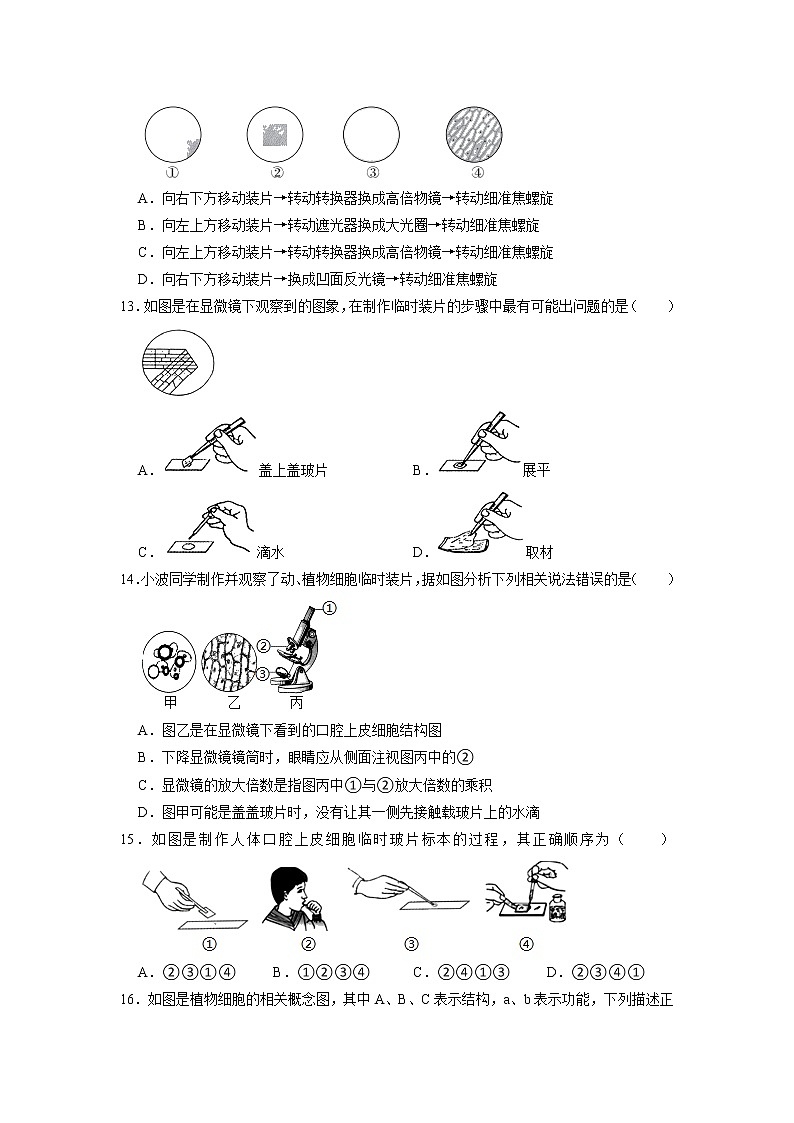 湖南省衡阳市衡东县杨山实验中学2022-2023学年七年级上学期期中生物试卷（含答案）第3页