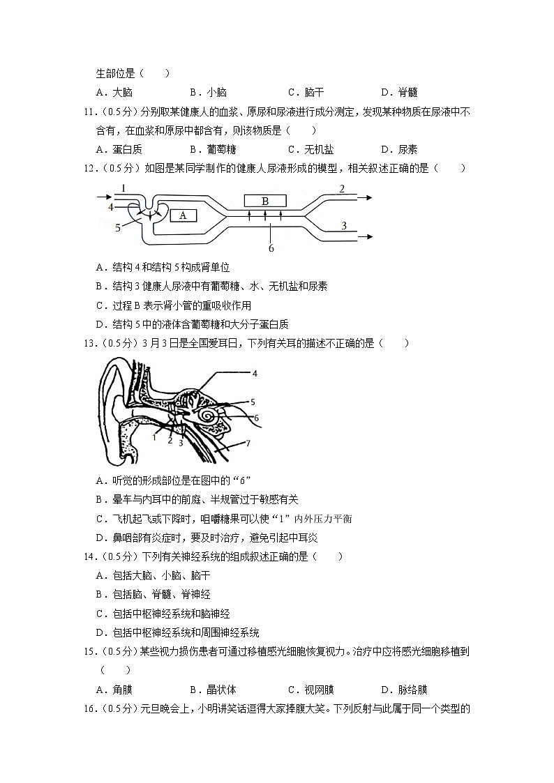 江苏省泰州市靖江实验学校2022-2023学年八年级上学期期中生物试卷第3页