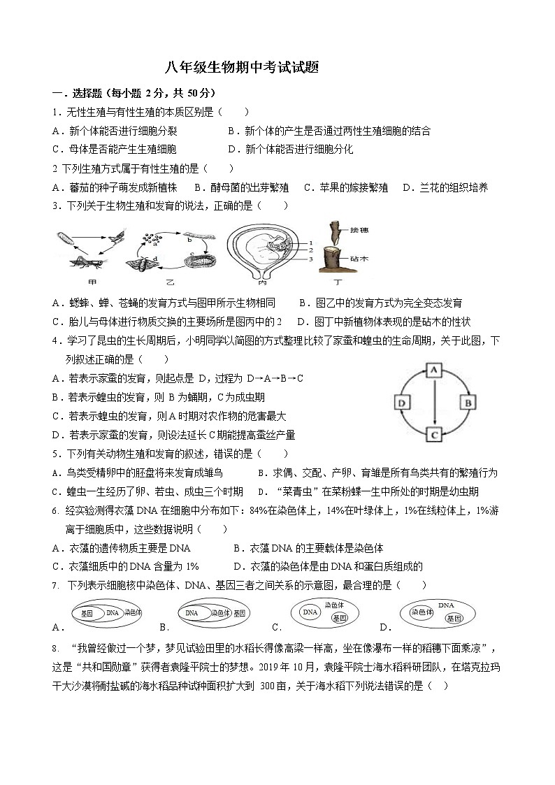 山东省东营市东营区实验中学2022-2023学年八年级上学期期中考试生物试题第1页