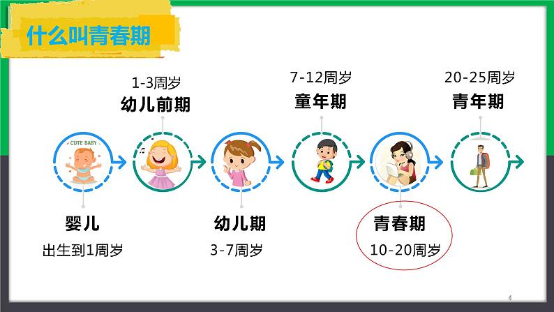 人教版七年级下册生物4.1.3青春期课件第4页