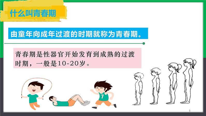 人教版七年级下册生物4.1.3青春期课件第5页